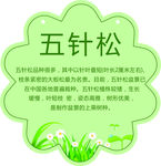 树牌