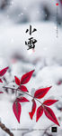 小雪
