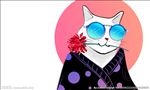 猫 插画