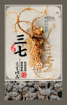 中药三七