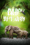 保护野生动物