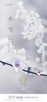 小雪