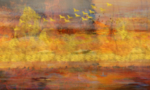 抽象油画