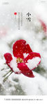 小雪