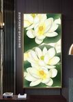 唯美荷花