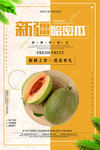 新疆哈密瓜