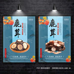 鹿茸海报 中药鹿茸 药材展板