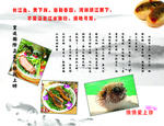 海鲜海报 高档海鲜 长江鱼广告