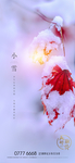 小雪