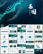 基因的奥秘PPT
