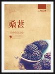桑葚