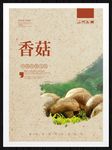 香菇