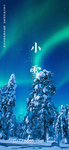 小雪