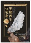 翅膀美颜养生