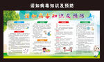 诺如病毒