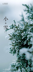 雪  小雪  节气
