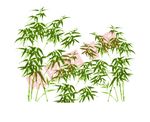矢量竹子