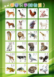 看图识字动物篇