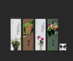 兰花