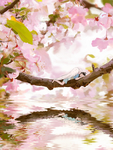 治愈系插画温馨装饰画