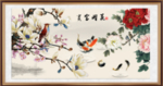 玉兰花