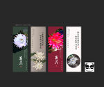 昙花