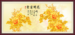 牡丹花 花开富贵