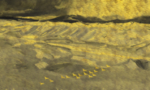 抽象油画
