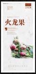 火龙果