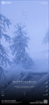 酒吧小雪海报