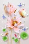 荷花玄关