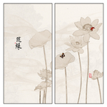 荷花美景