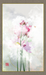 映日荷花