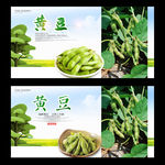 黄豆
