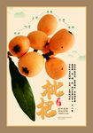 枇杷展板