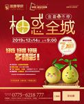 房地产 柚惑全城 广告设计