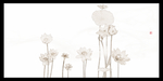 荷花无框画