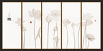 荷花插画