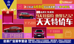 天天特价车