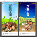 野生菌
