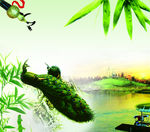 美丽孔雀