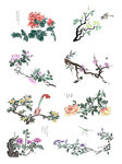 手绘花草  牡丹花园    元