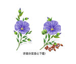 新款手绘亚麻籽花