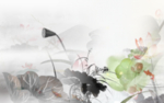 荷花图