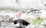 荷花图