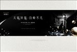 豪宅地产