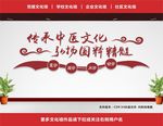 中医院文化墙