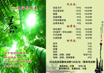 足疗价目表 折页 画册