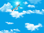 天空