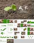 植物生长敬畏生命发芽成长ppt